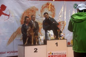 Na podium - II lokata - Najpiękniejszy pies użytkowy 