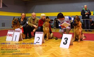GHUCCI  - Best of Breed -  Zwycięzca Rasy 