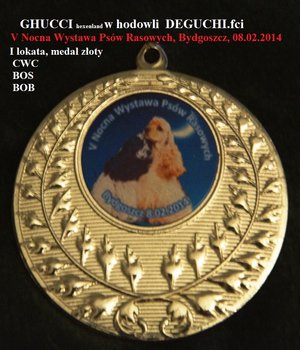 I - lokata, złoty medal GHUCCI, CWC, BOS, BOB